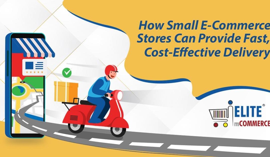 How Small eCommerce Stores Can Provide Fast, Cost-Effective Delivery
