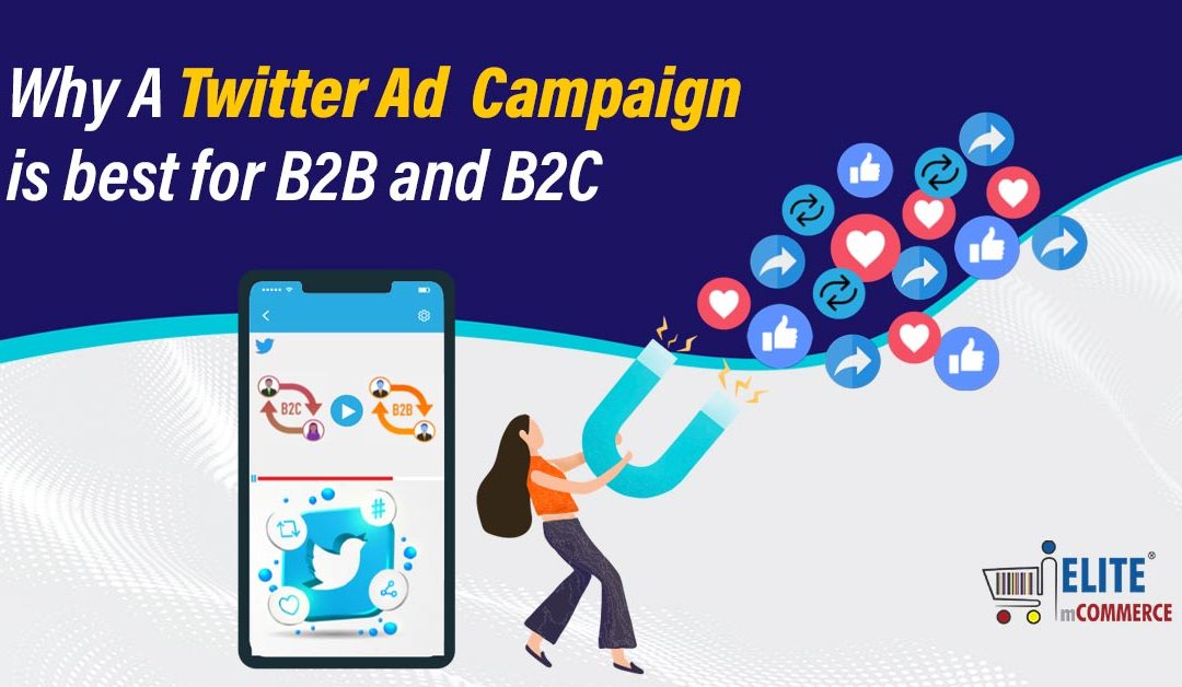 Why Twitter Video Ad Campaign is best for B2B and B2C