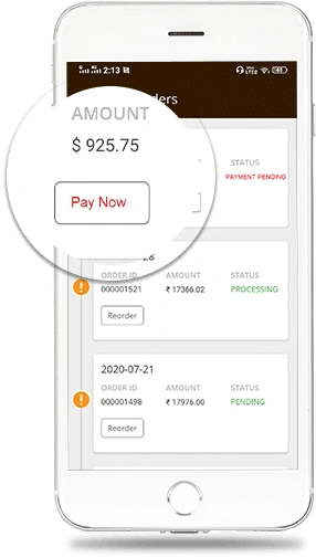 Pay for Detailed Order